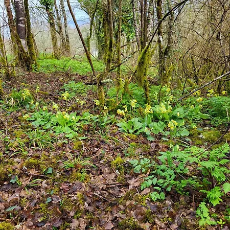Semesterbostad La Grange Du Chateau