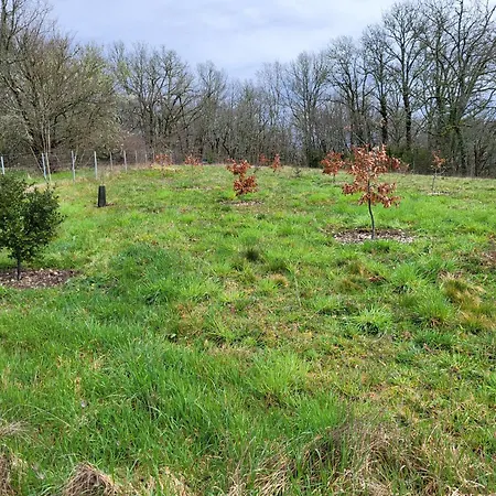 Semesterbostad La Grange Du Chateau Boissieres (Lot)