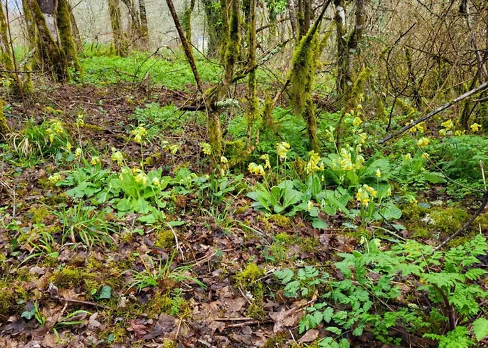 بيت للعطل La Grange Du Chateau