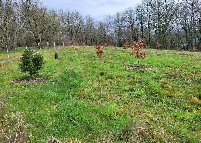 بيت للعطل La Grange Du Chateau Boissieres (Lot)