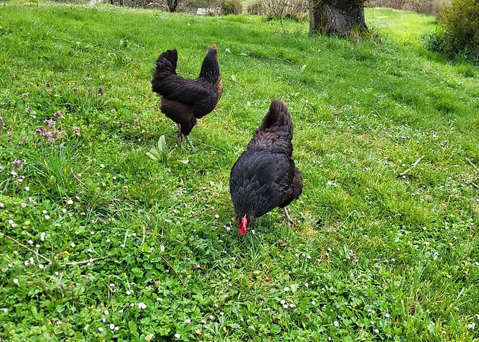 Σπίτι διακοπών La Grange Du Chateau Boissieres (Lot)